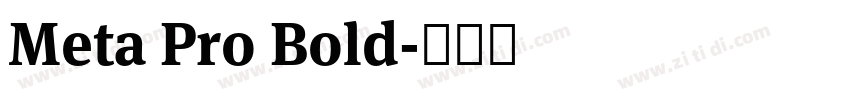 Meta Pro Bold字体转换